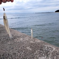 遅めの夏休みでキス釣り