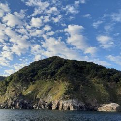 若狭ティップラン