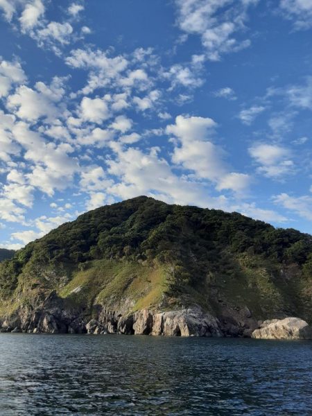 若狭ティップラン