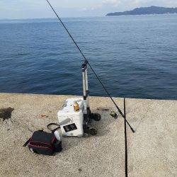 ギリギリセーフ🦑