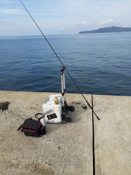 ギリギリセーフ🦑