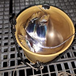 秋の夜長にタチウオ釣り