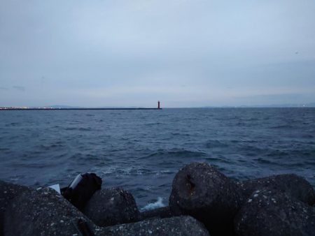 ショアじぎじぎ