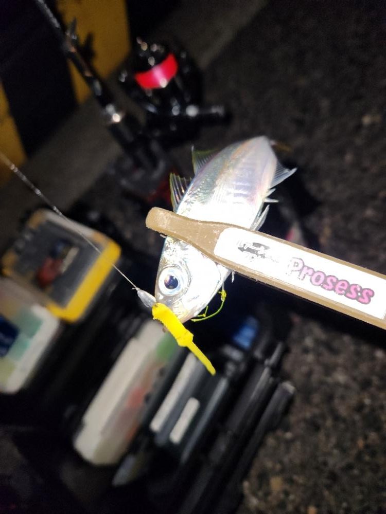 やっぱ、ホームでしょ