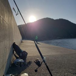 青物は留守でした！