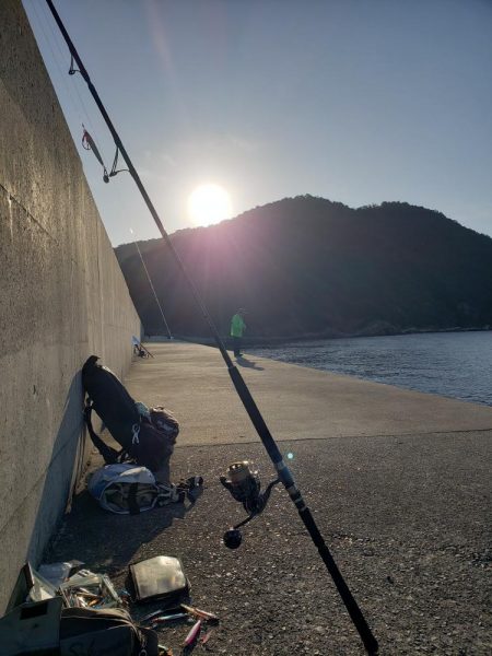 青物は留守でした！