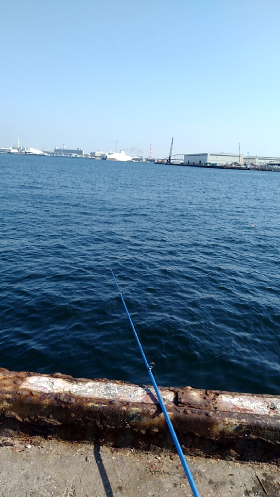 活性高し!サヨリ