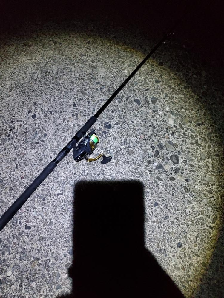 タチウオ仕掛けでタチウオ以外を狙う