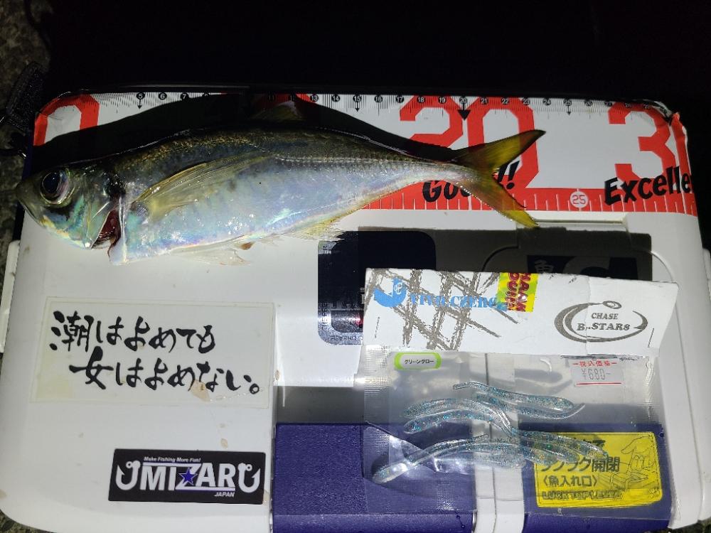 潮が動くと釣れるのね〰️🎵