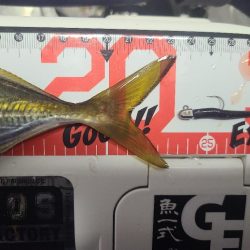 イベントアジング参加1日目