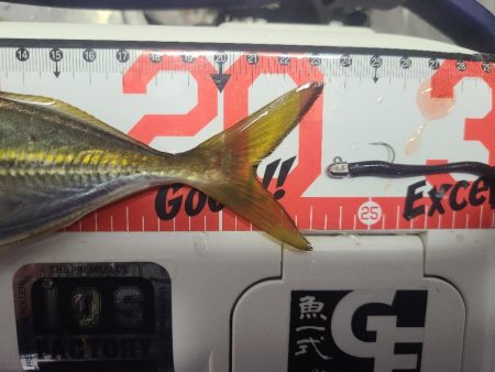 イベントアジング参加1日目