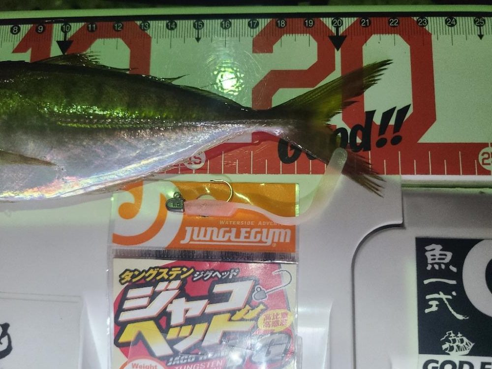 イベントアジング参加２日目