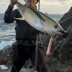 磯からマグロ