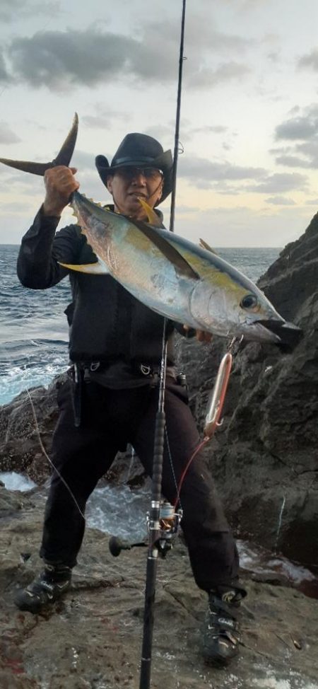 磯からマグロ