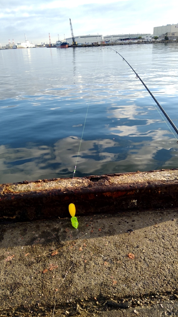 釣れるものを確実に釣る