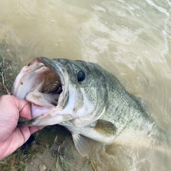 久しぶりのバス！