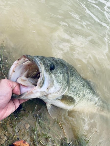 久しぶりのバス！