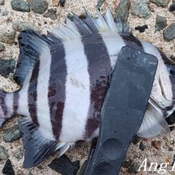 爆風で根掛かりとの闘い