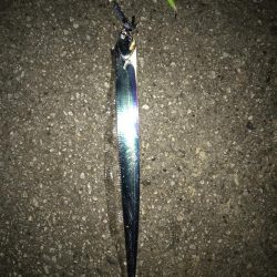 久しぶりに会う友達とカワハギ釣り