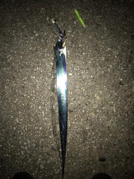 久しぶりに会う友達とカワハギ釣り