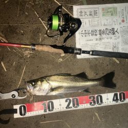 わーははははは