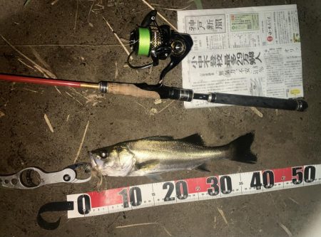 わーははははは