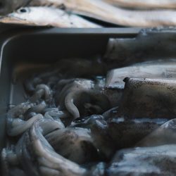 デイエギングで良型連発！太刀魚の大群も！