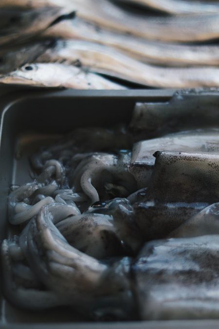 デイエギングで良型連発！太刀魚の大群も！