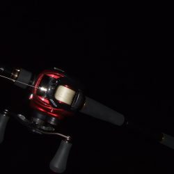 なんとか一本だけ