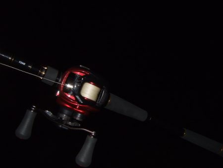 なんとか一本だけ