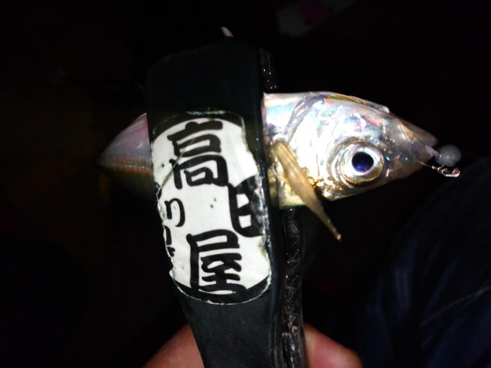 久々のアジング