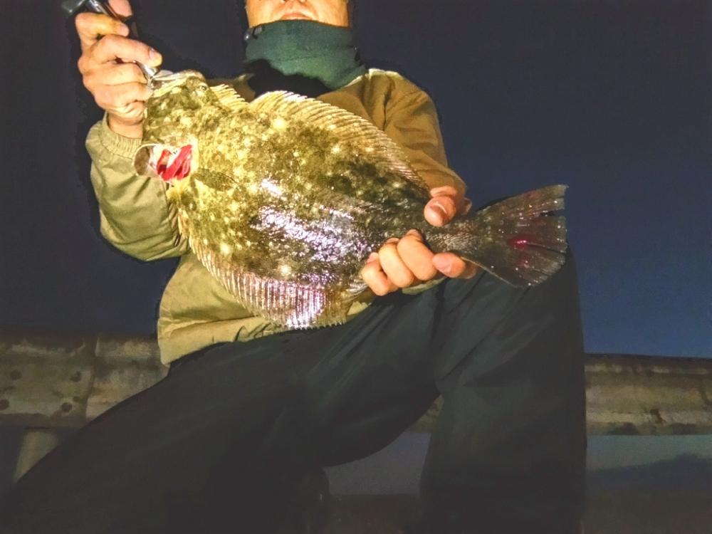 ヒラメが釣れました!