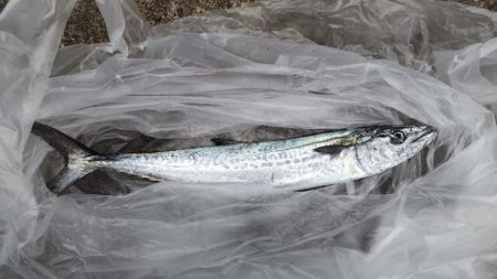 秋ハイシーズン、残念！