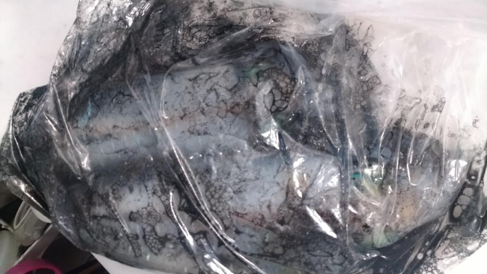 学生時代ぶりのエギングでアオリゲット