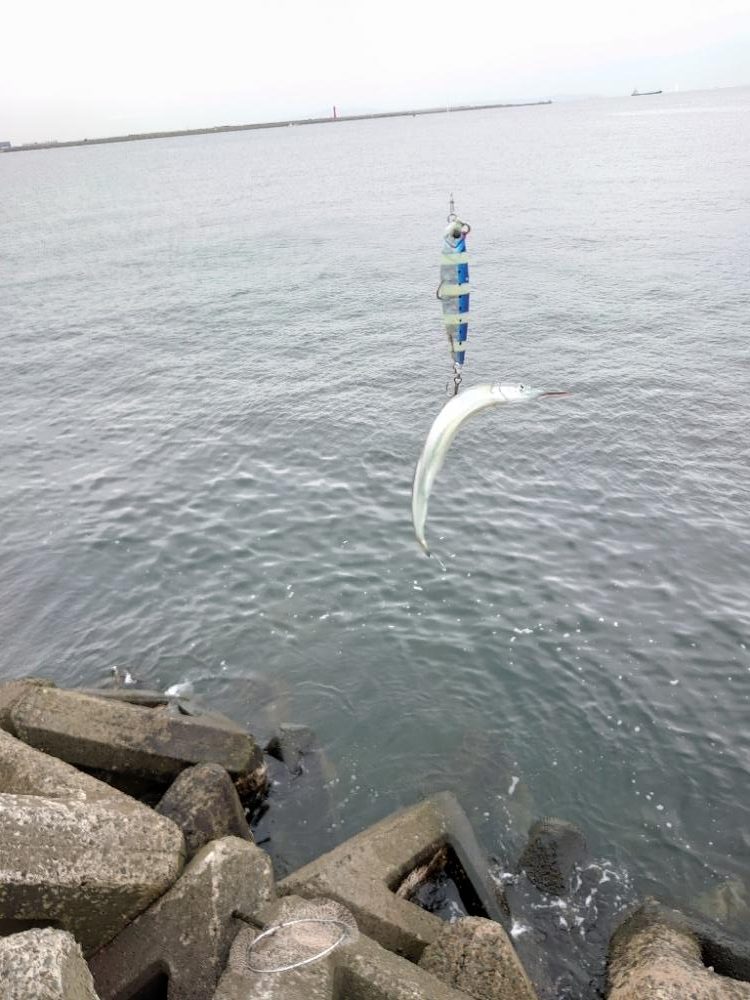 ショアジギング