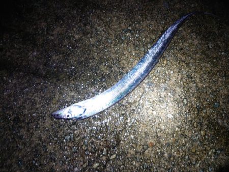 少し遅めの刀狩り!