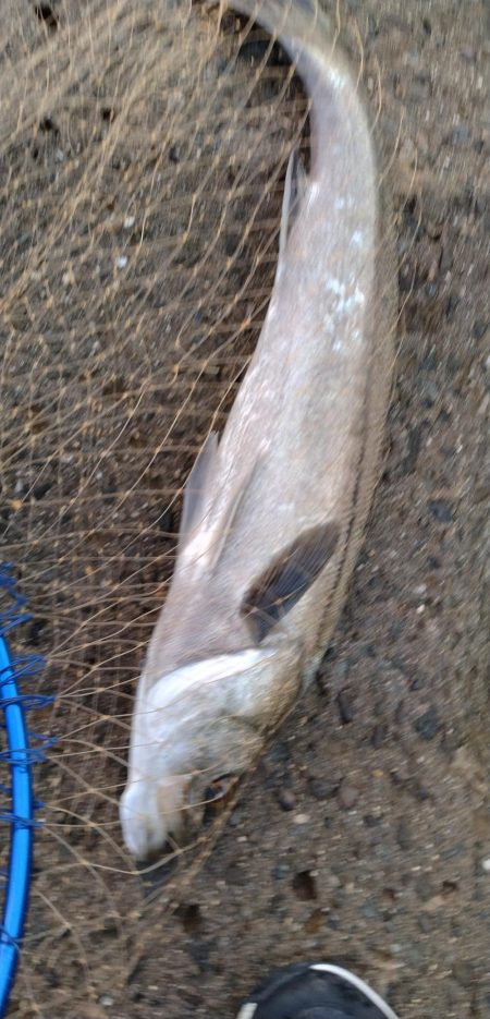 北西風で荒れ荒れ