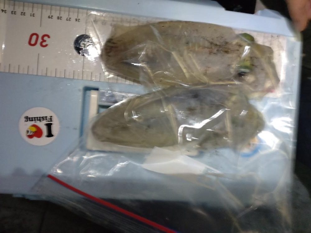 不調からの脱出の兆し