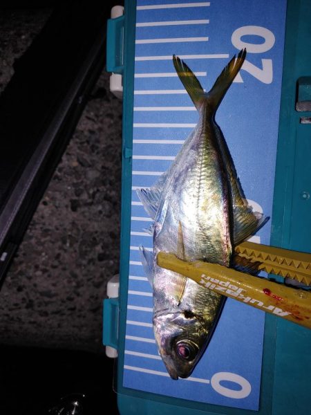 爆風ワインド、アジング