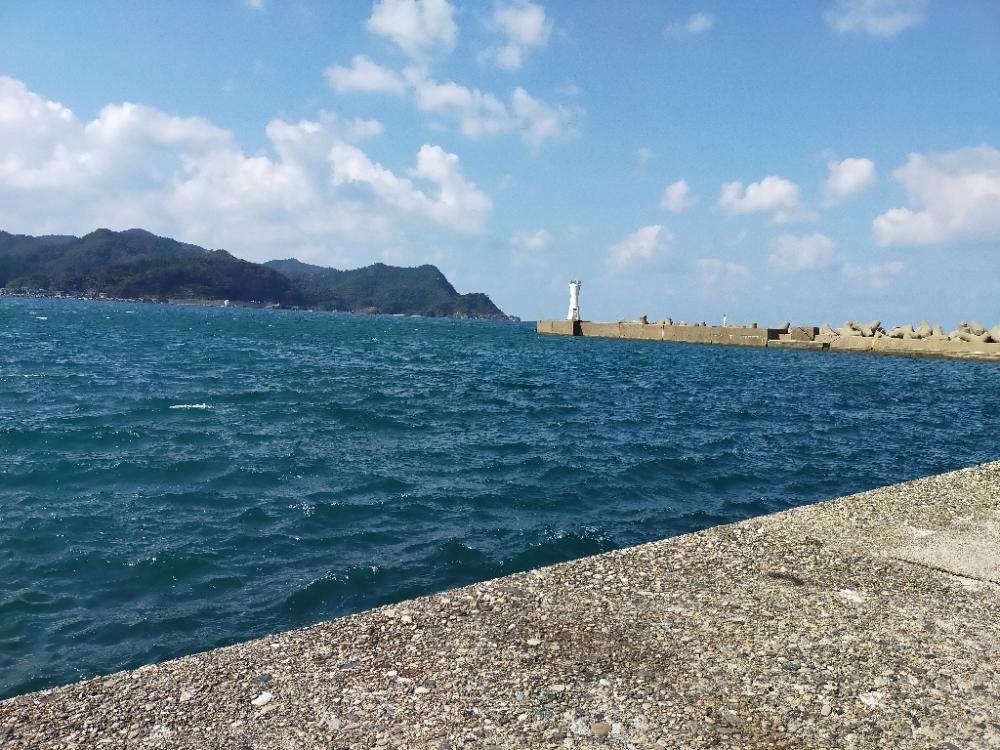 サゴシ狙いで来たものの