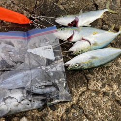 朝からバタバタ