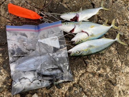 朝からバタバタ