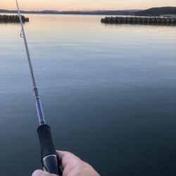 朝から頑張りました