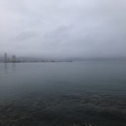 ライトソルトゲーム#02