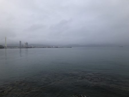 ライトソルトゲーム#02