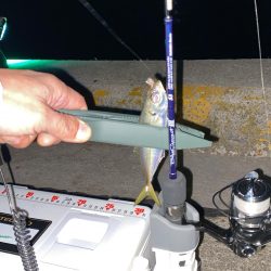 ブルカレⅢ53でアジング