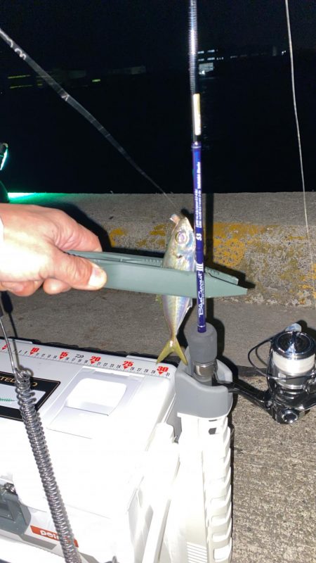 ブルカレⅢ53でアジング