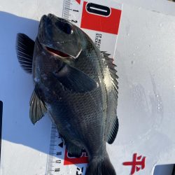 リベンジと入魂