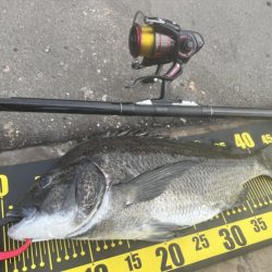 春以来のフカセ釣り