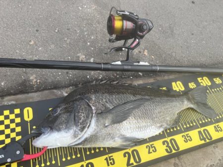 春以来のフカセ釣り